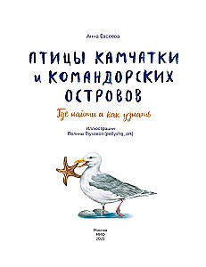 Birds of Kamchatka and the Commander Islands. Where to find and how to recognize
